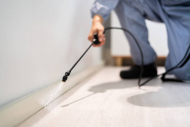 Professional exterminator conducting IPM assessment in Eureka Springs